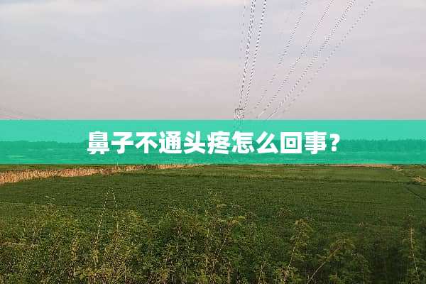 鼻子不通头疼怎么回事？