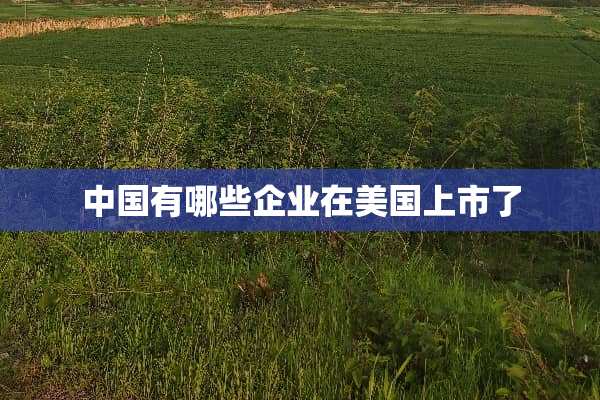 中国有哪些企业在美国上市了