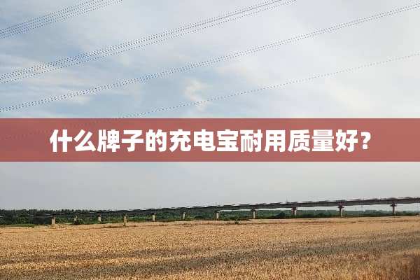 什么牌子的充电宝耐用质量好？