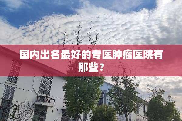 国内出名最好的专医肿瘤医院有那些？