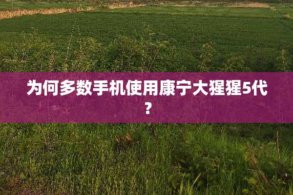 为何多数手机使用康宁大猩猩5代？