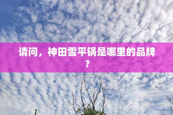 请问，神田雪平锅是哪里的品牌？