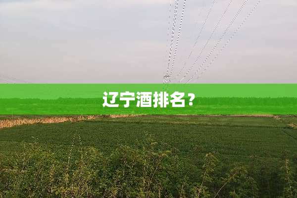 辽宁酒排名？