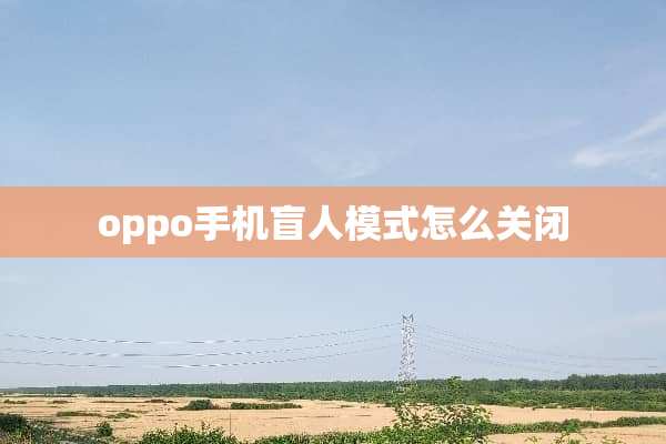 oppo手机盲人模式怎么关闭
