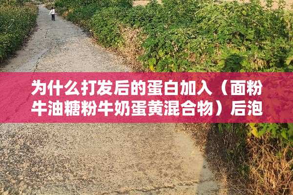 为什么打发后的蛋白加入（面粉牛油糖粉牛奶蛋黄混合物）后泡沫一下全消了？