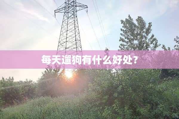 每天遛狗有什么好处？