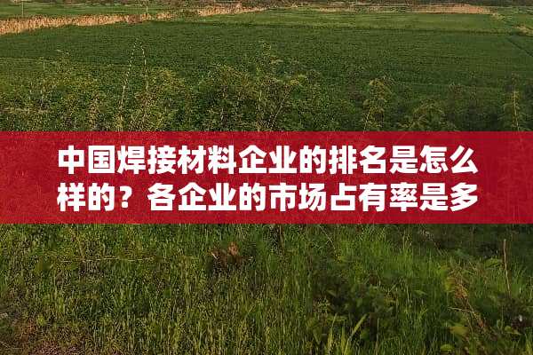中国焊接材料企业的排名是怎么样的？各企业的市场占有率是多少？