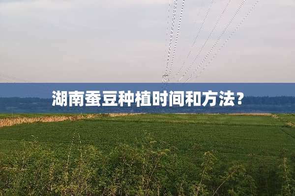 湖南蚕豆种植时间和方法？
