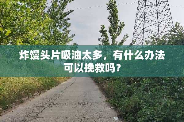 炸馒头片吸油太多，有什么办法可以挽救吗？
