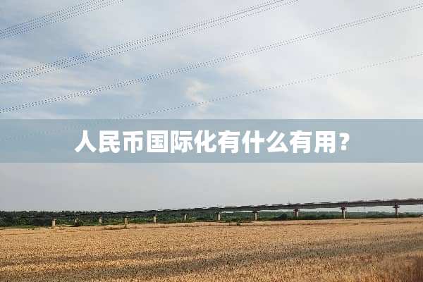 人民币国际化有什么有用？