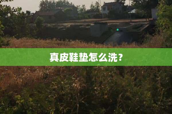 真皮鞋垫怎么洗？