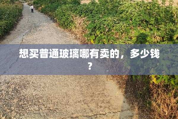 想买普通玻璃哪有卖的，多少钱？