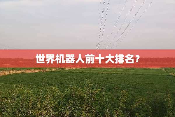 世界机器人前十大排名？