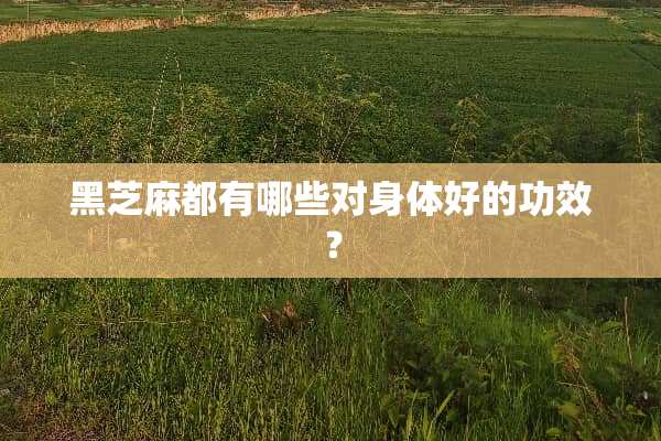 黑芝麻都有哪些对身体好的功效？