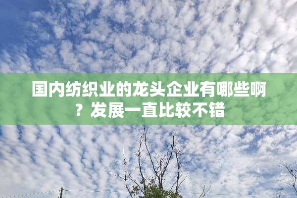 国内纺织业的龙头企业有哪些啊？发展一直比较不错