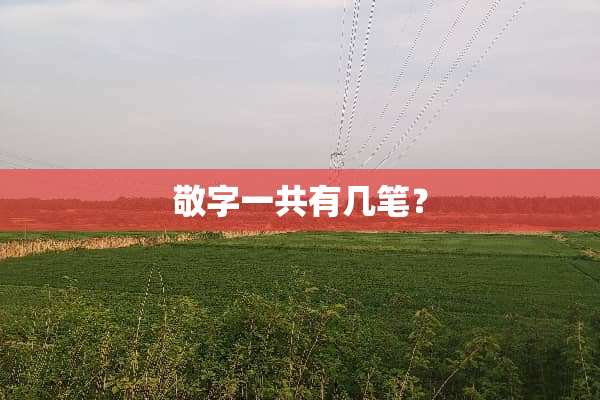 敬字一共有几笔？