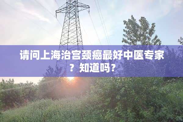 请问上海治宫颈癌最好中医专家？知道吗？