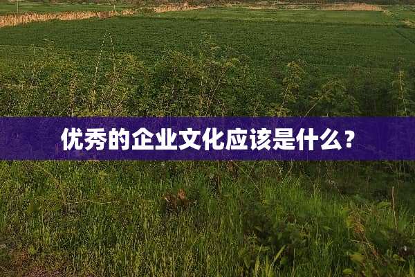 优秀的企业文化应该是什么？