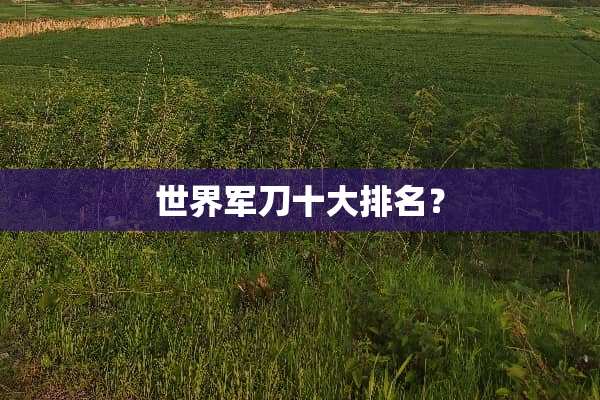 世界军刀十大排名？