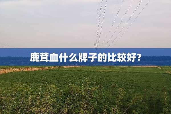 鹿茸血什么牌子的比较好？