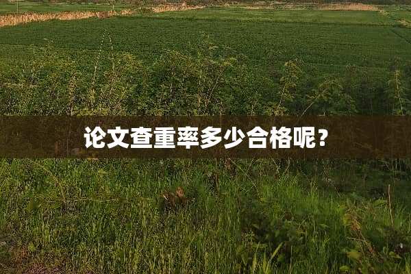 论文查重率多少合格呢？
