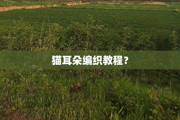 猫耳朵编织教程？