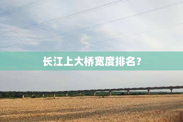 长江上大桥宽度排名？