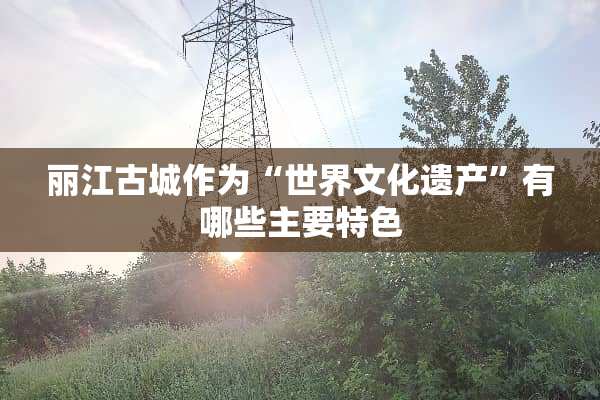 丽江古城作为“世界文化遗产”有哪些主要特色