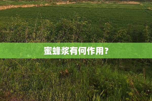 蜜蜂浆有何作用？