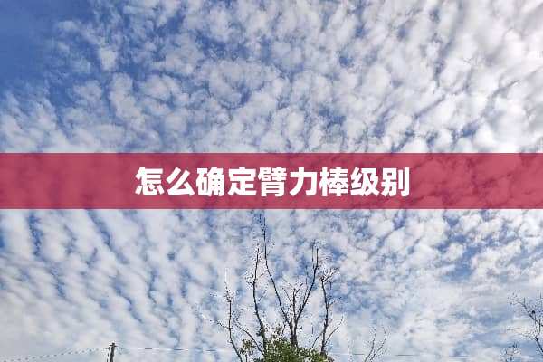 怎么确定臂力棒级别