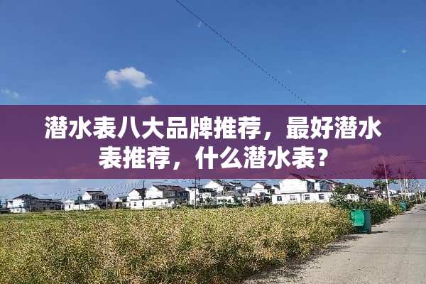潜水表八大品牌推荐，最好潜水表推荐，什么潜水表？
