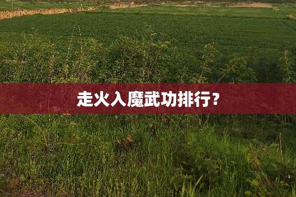 走火入魔武功排行？