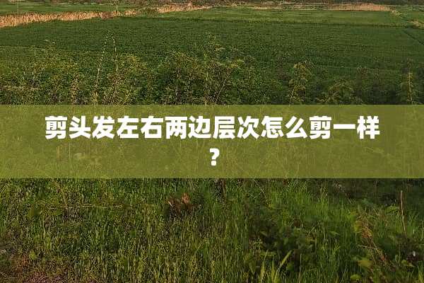 剪头发左右两边层次怎么剪一样？
