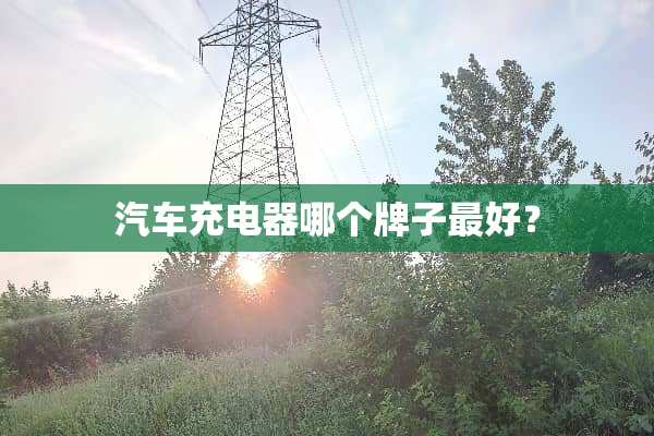 汽车充电器哪个牌子最好？