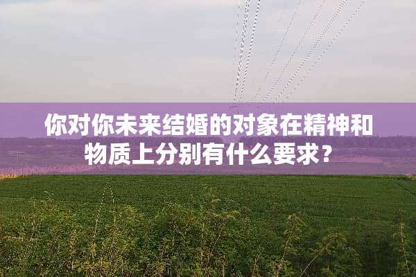 你对你未来结婚的对象在精神和物质上分别有什么要求？