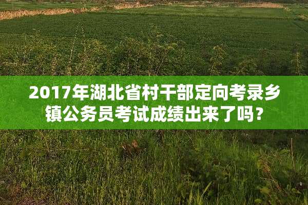 2017年湖北省村干部定向考录乡镇公务员考试成绩出来了吗？