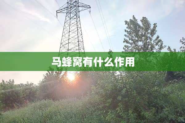 马蜂窝有什么作用