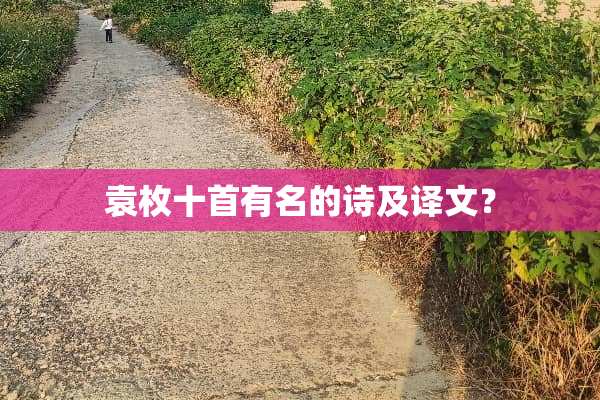 袁枚十首有名的诗及译文？