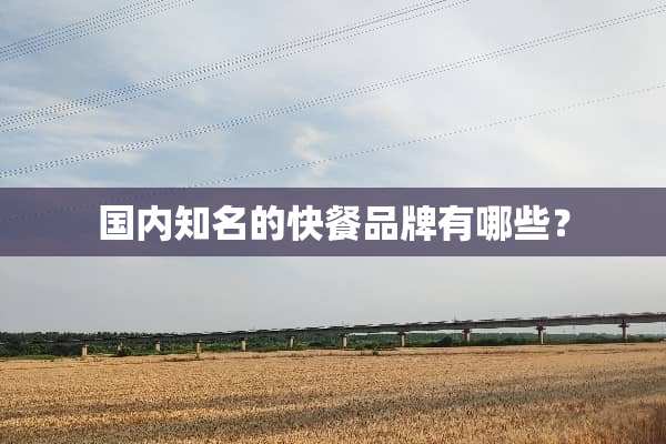 国内知名的快餐品牌有哪些？