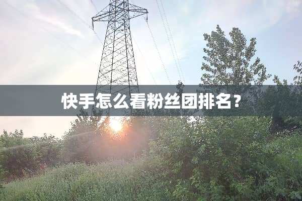 快手怎么看粉丝团排名？