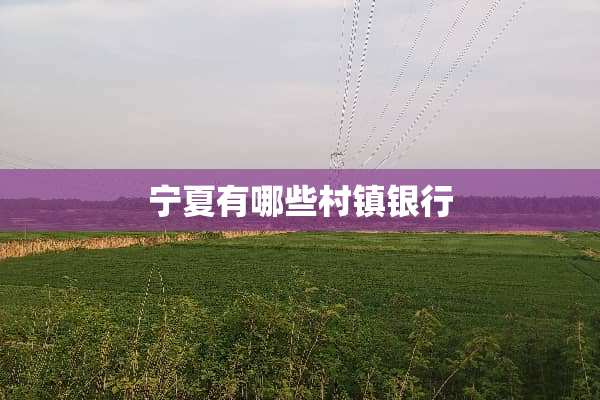 宁夏有哪些村镇银行