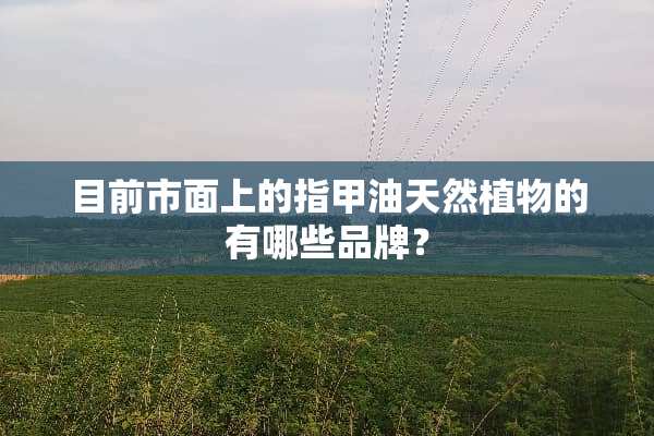 目前市面上的指甲油天然植物的有哪些品牌？