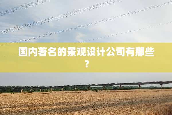 国内著名的景观设计公司有那些？