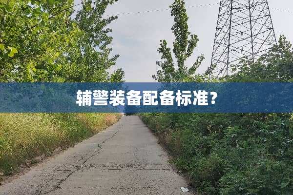 辅警装备配备标准？