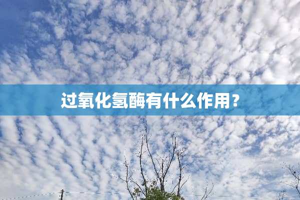 过**氢酶有什么作用？