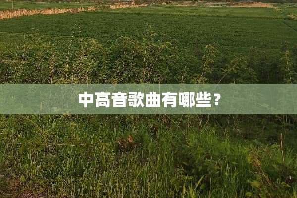 中高音歌曲有哪些？