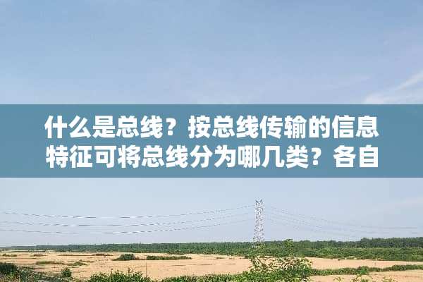 什么是总线？按总线传输的信息特征可将总线分为哪几类？各自的功能是什么？