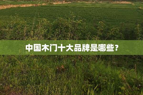 中国木门十大品牌是哪些？