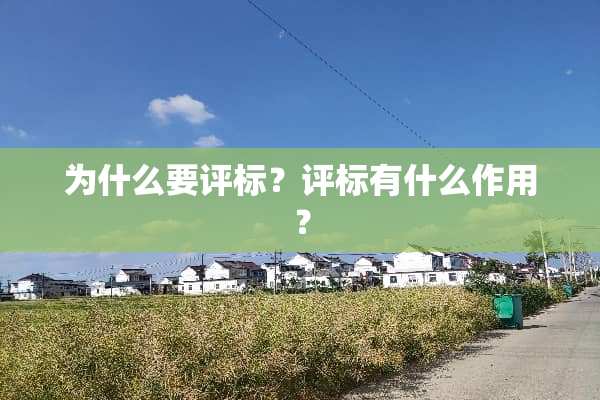 为什么要评标？评标有什么作用？