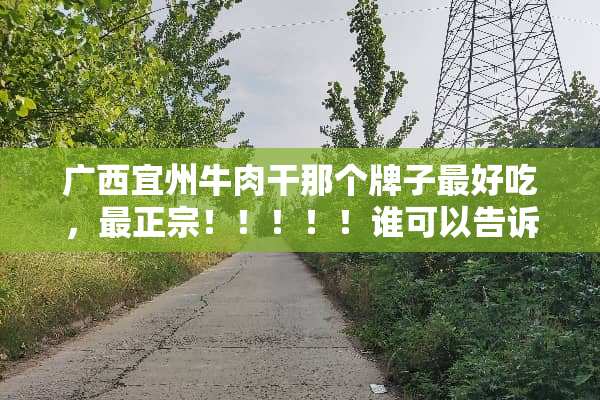 广西宜州牛肉干那个牌子最好吃，最正宗！！！！！谁可以告诉我啊！